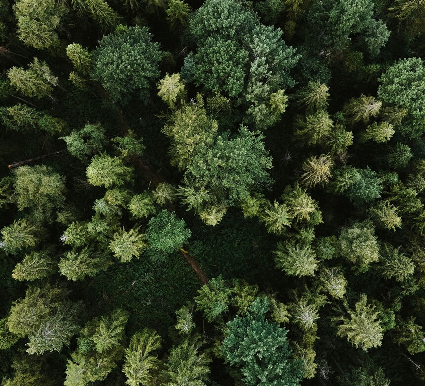 olena-bohovyk-3BlVILvh9hM-unsplash
