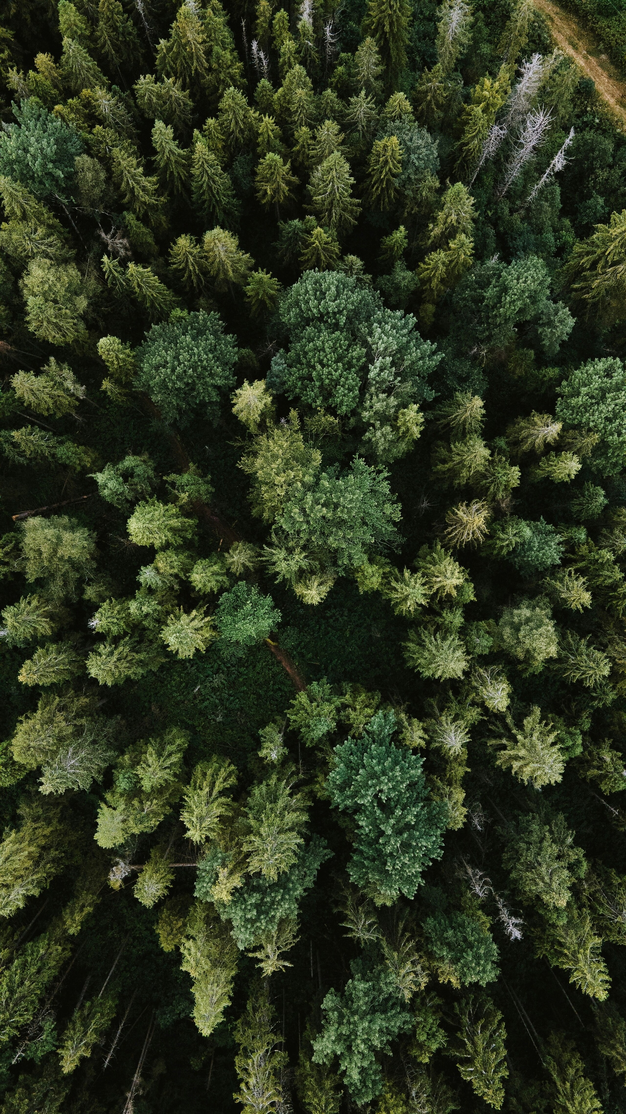 olena-bohovyk-3BlVILvh9hM-unsplash